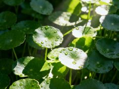 -闪电修企业手机电脑回收(西湖风景名胜区店)