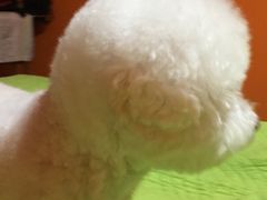 -乐琪宠物(青塔西路店)