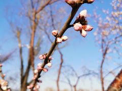 -大兴滨河森林公园