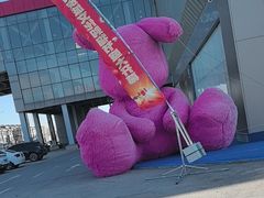 -肃宁华斯国际裘皮城