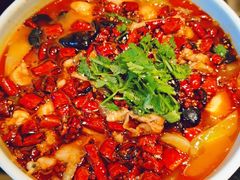 四川毛血旺-新南华大酒店(广中店)