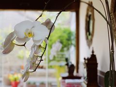 -北京古城老院厉晓麟精致菜