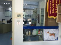 -康成宠物医院24H·CT·核磁共振