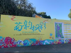 -青枫公园