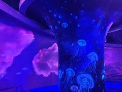-大连圣亚海洋世界