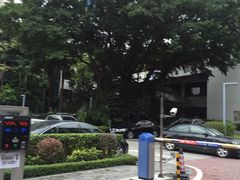 -深圳华侨城医院