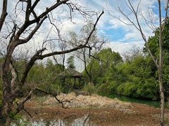 -西溪国家湿地公园