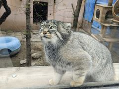 -青藏高原野生动物园