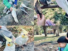 -南国桃园旅游度假区