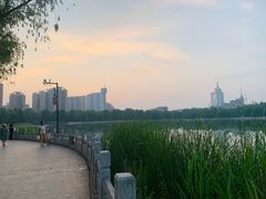 -莲花池公园