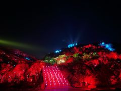 -印象普陀
