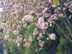 -莲花池公园