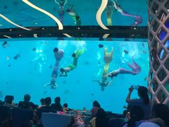 -瑞德姆美人鱼海底演艺主题餐厅(亚龙湾店)