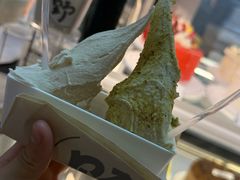 -野人先生现做冰淇淋(北京环宇荟店)
