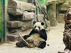 -灵玲国际马戏城
