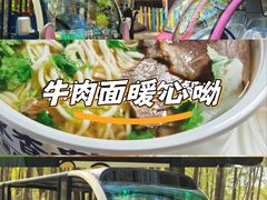 -哈尔滨北方森林动物园