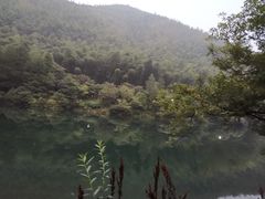 -天目湖松岭竹海漂流