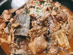 生态甲鱼-火焰金龟甲(汉阳江滩旗舰店)