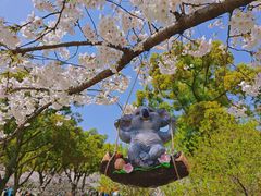 -苏州上方山国家森林公园