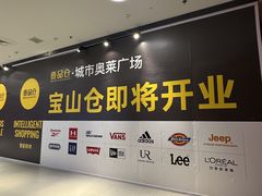 -宝山日月光中心