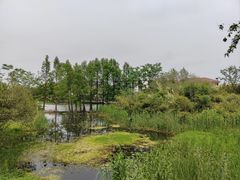 -长广溪湿地公园