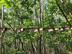 -野三坡百草畔景区