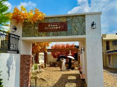 -Blue Concept Cafe&Farm·關於藍