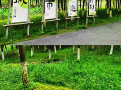 -云碧峰国家森林公园