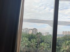 -端艾堂·SPA·艾灸(棕榈泉013店)