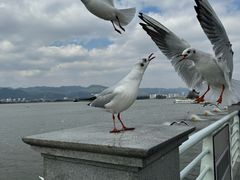 -海埂大坝