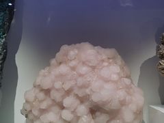 -重庆自然博物馆(新馆)