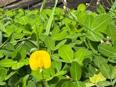 -白沙门生态公园