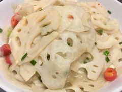 -壹盏灯(惠农店)