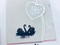 -BLACKSWAN黑天鹅(环球店)