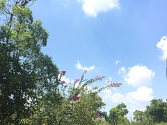 -上海滴水湖皇冠假日酒店