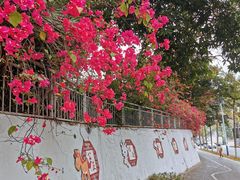 -深圳国际园林花卉博览园