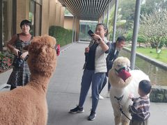 -南宁荔园维景国际酒店·荔园中餐厅
