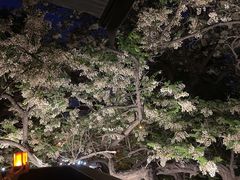 -LAMP BAR 水烟音乐酒吧