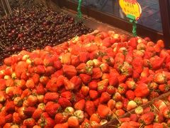 -乐乐鲜果水果超市(河北店)