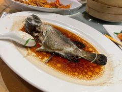 -稻香酒家·35年老字号(侨光店)