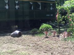 -上海老站(徐家汇店)