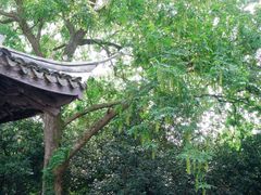 -玉女潭景区