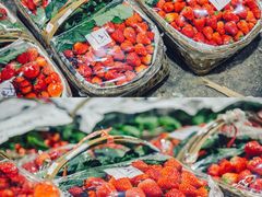 -菜园坝水果市场