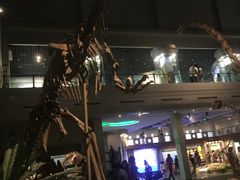 -自贡恐龙博物馆