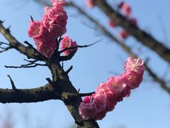 -海鲜e族(马王堆店)