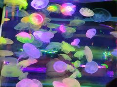 -太平洋海底世界