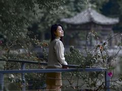 -老木棉·匠园