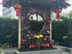 -御彩酒家(东风东路店)