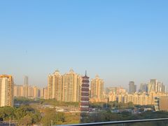 -小茶闲舍·观景商务茶馆(广州塔店)