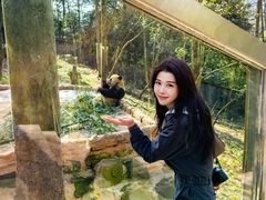 -中国大熊猫保护研究中心雅安碧峰峡基地